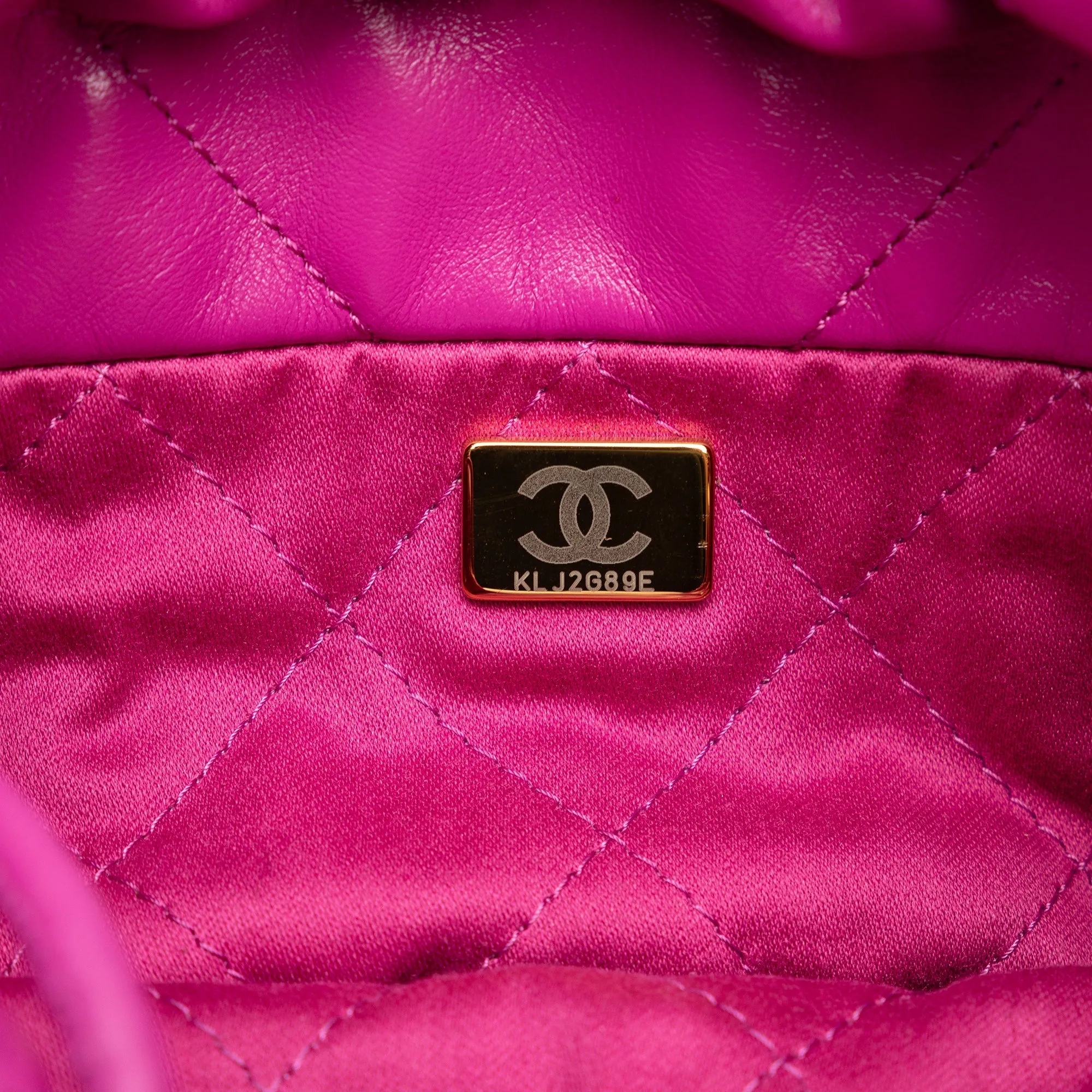 Chanel Mini Calfskin 22 Hobo (21616)