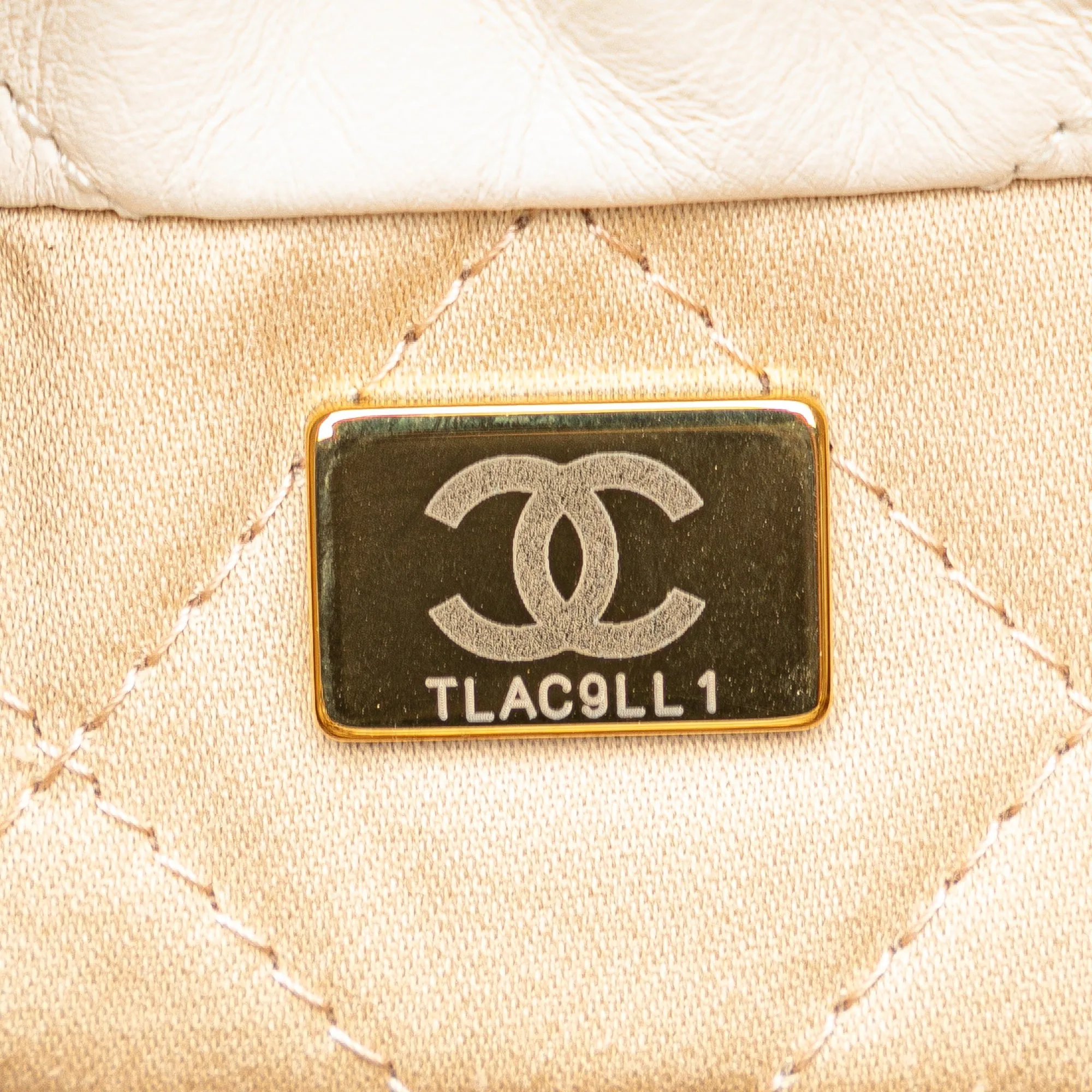 Chanel Mini Shiny Calfskin 22 Hobo (20871)