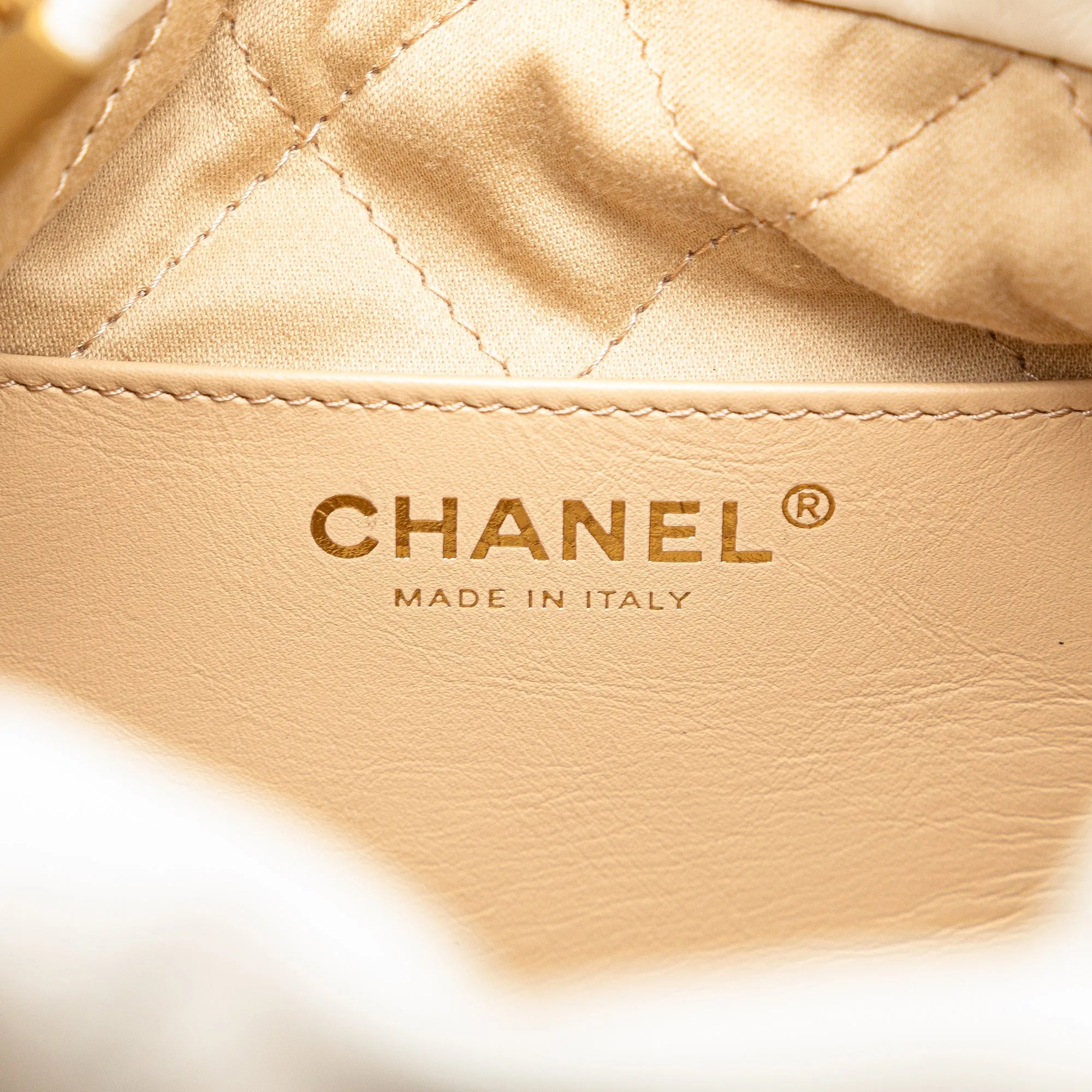 Chanel Mini Shiny Calfskin 22 Hobo (20871)