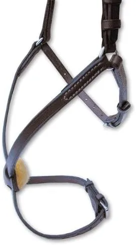 Figure 8 Noseband with Rings