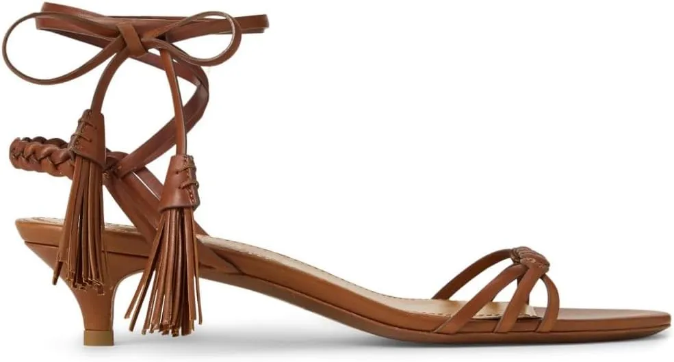 Kitten Heel Sandals For Women Ankle Strap Low Heels with Brown Fringe Woven Strap Summer Casual Comfortable Shoes