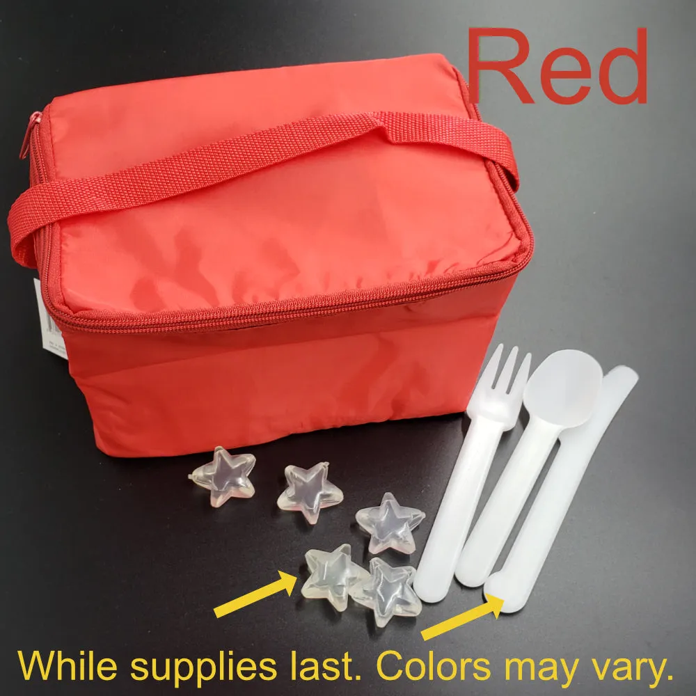 Lunch Bag / Destash