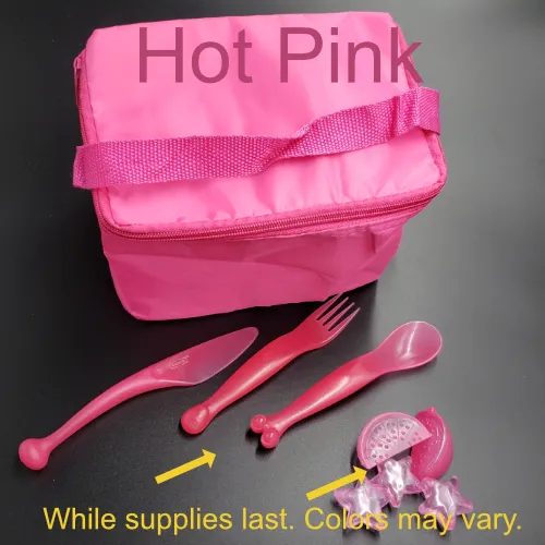 Lunch Bag / Destash