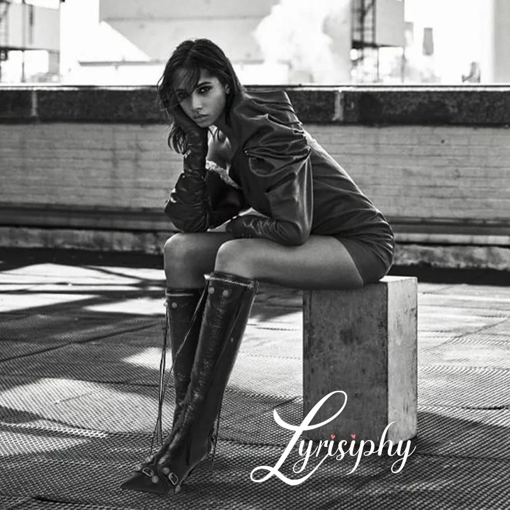 Lyrisiphy Knee High Boots for Women Pointed Toe Stiletto Heels Side Zipper Rivets Tassels Boots Fashion Dress Party Boots Mid Calf Boots
