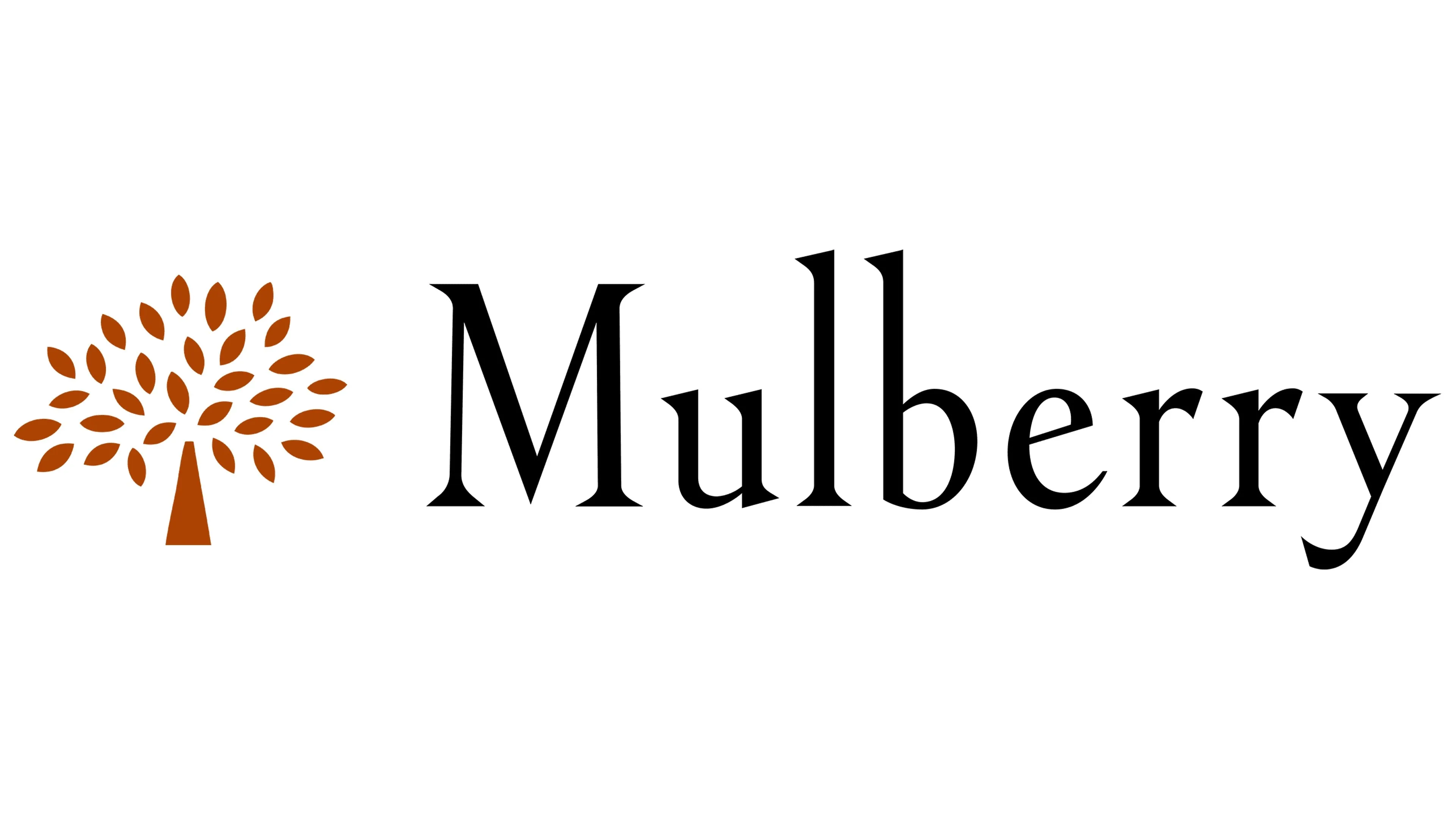 MULBERRY AMBERLEY CLASSIC GRAIN LEATHER HOBO BAG