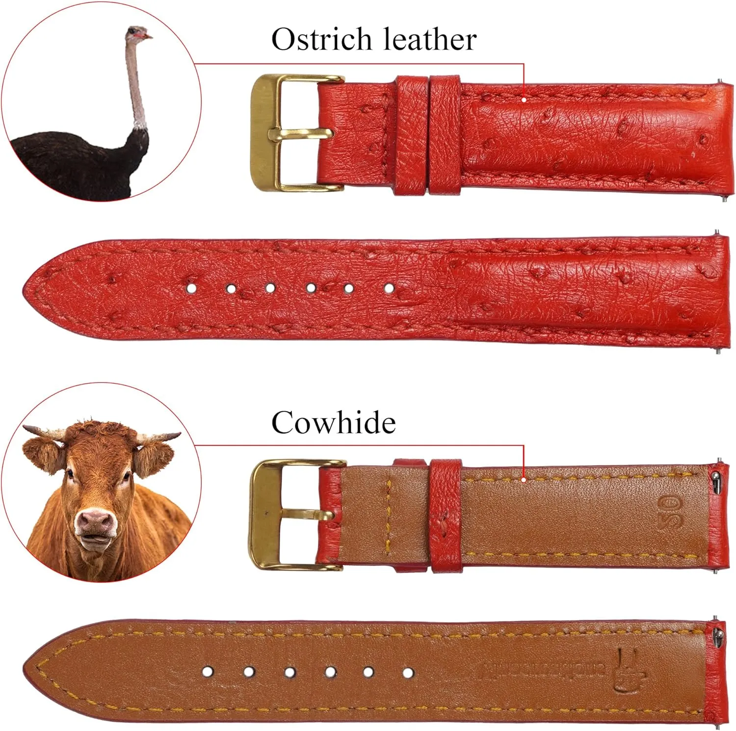 Quick Release Ostrich Leather Watch Bands Men Handmade Replacement Elegant Wrist Watch Straps Vintage Extra Soft Exotic Leather Strap 18mm 19mm 20mm 21mm 22mm