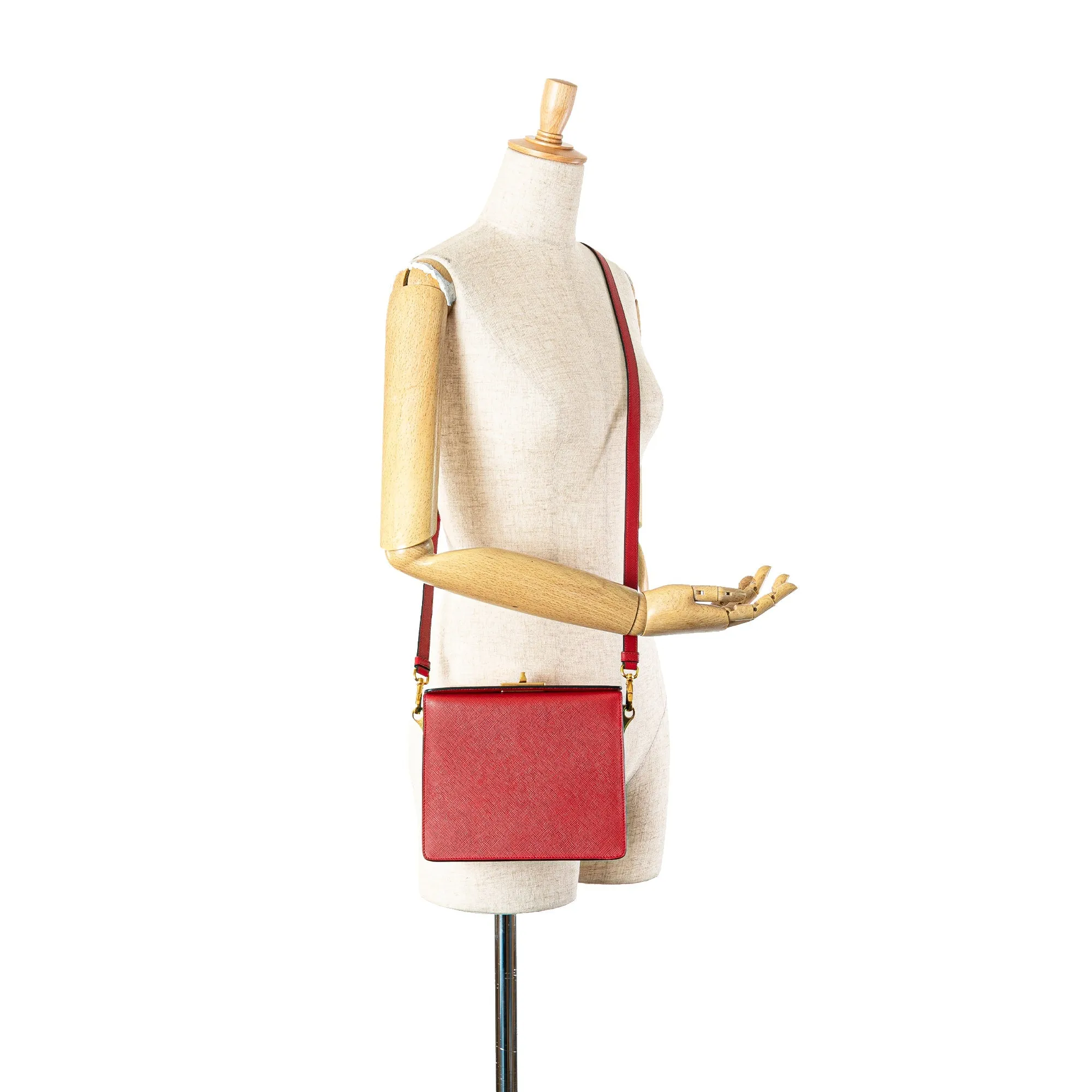 Saffiano Begonia Satchel