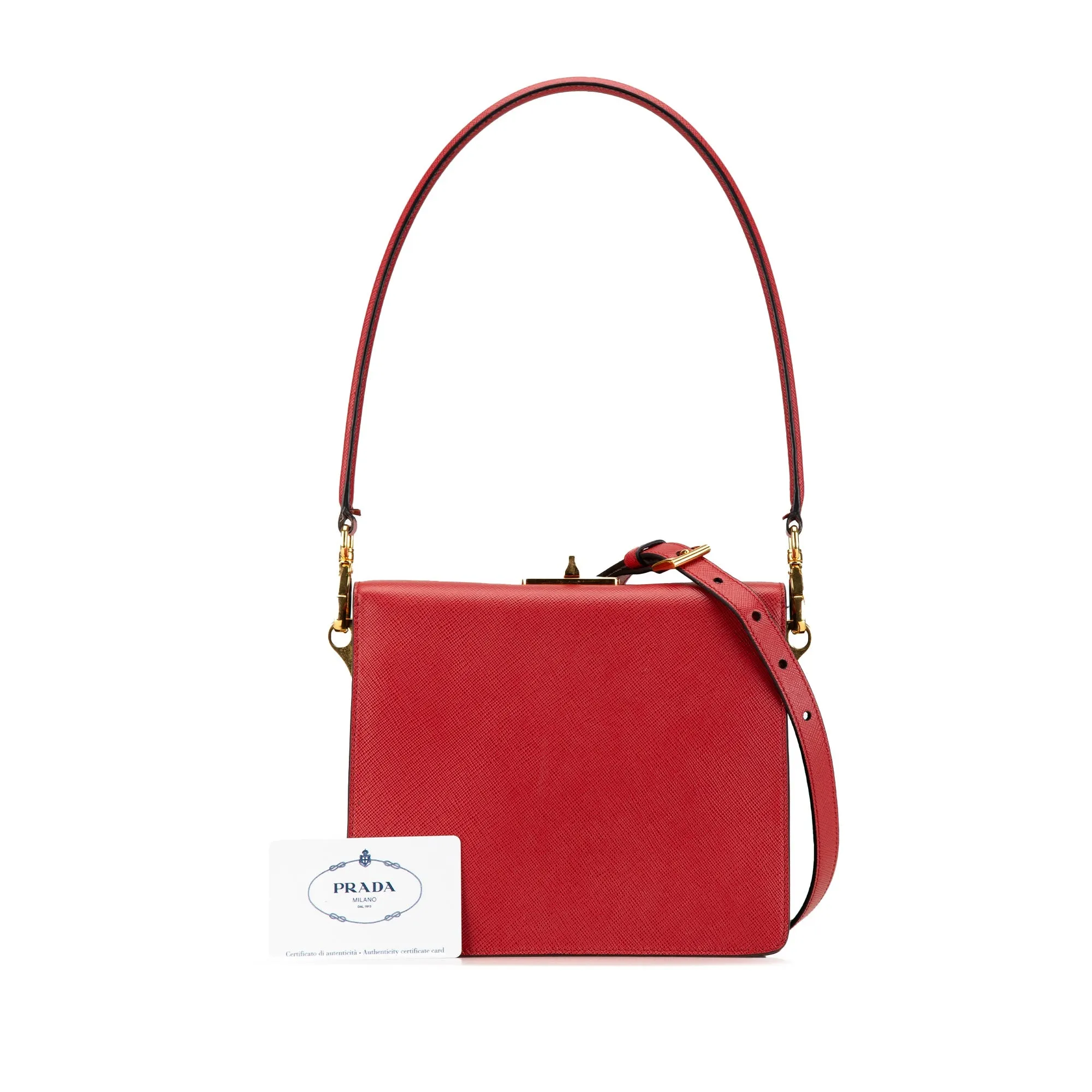 Saffiano Begonia Satchel