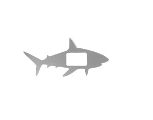 Shark Buckle