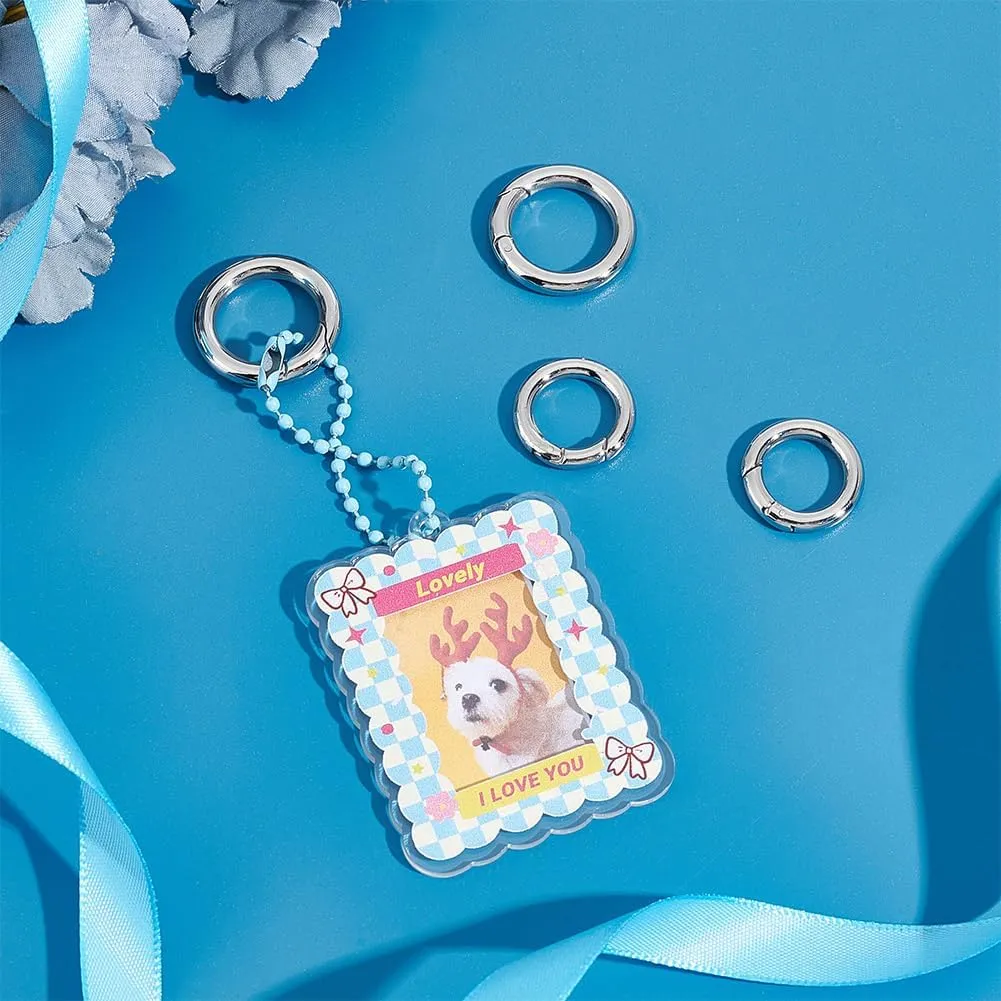 UNICRAFTALE 4Pcs 2 Sizes Spring Gate Rings 304 Stainless Steel Snap Clasps 20~24mm Round Carabiner Clips Snap Hooks Spring Keyring Buckle Clasps for Bag Purse Shoulder Strap Key Chains