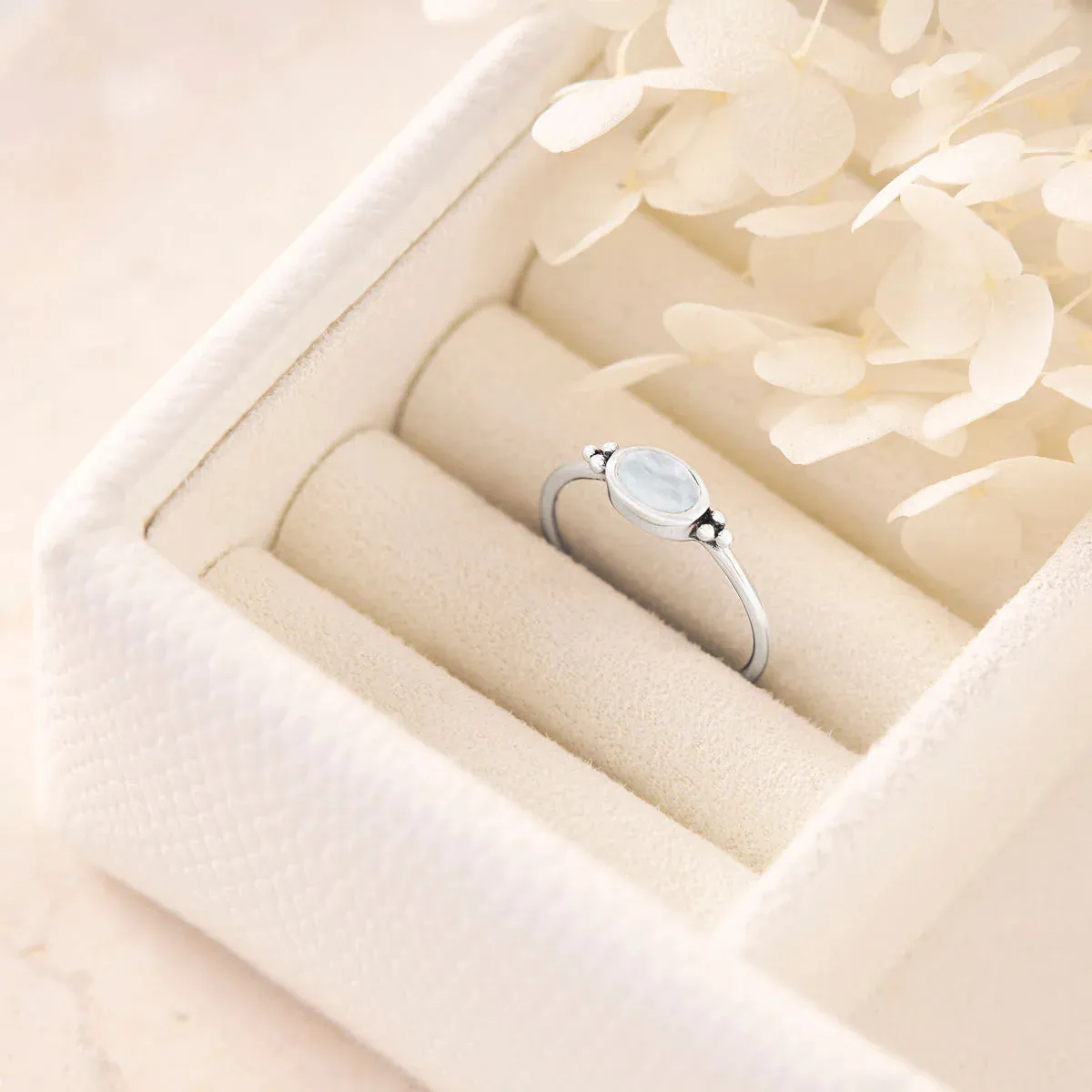 Visionary Ring Shell